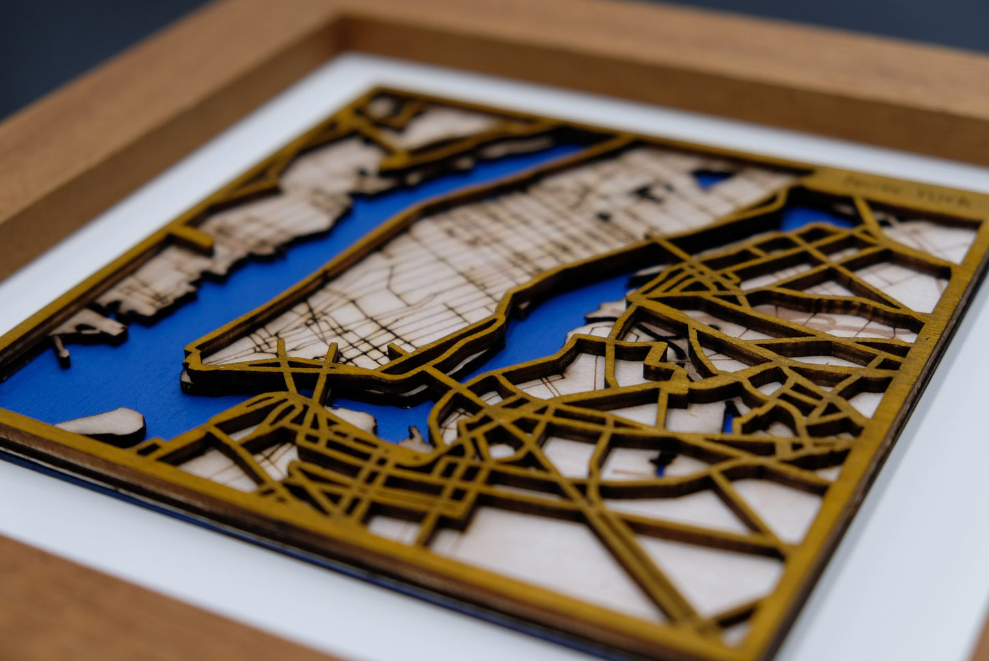 3D Wall Map New York